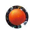 画像2: 有機オレンジスイート精油　[生活の木] (2)